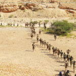 The current image has no alternative text. The file name is: thumbnail.jpg